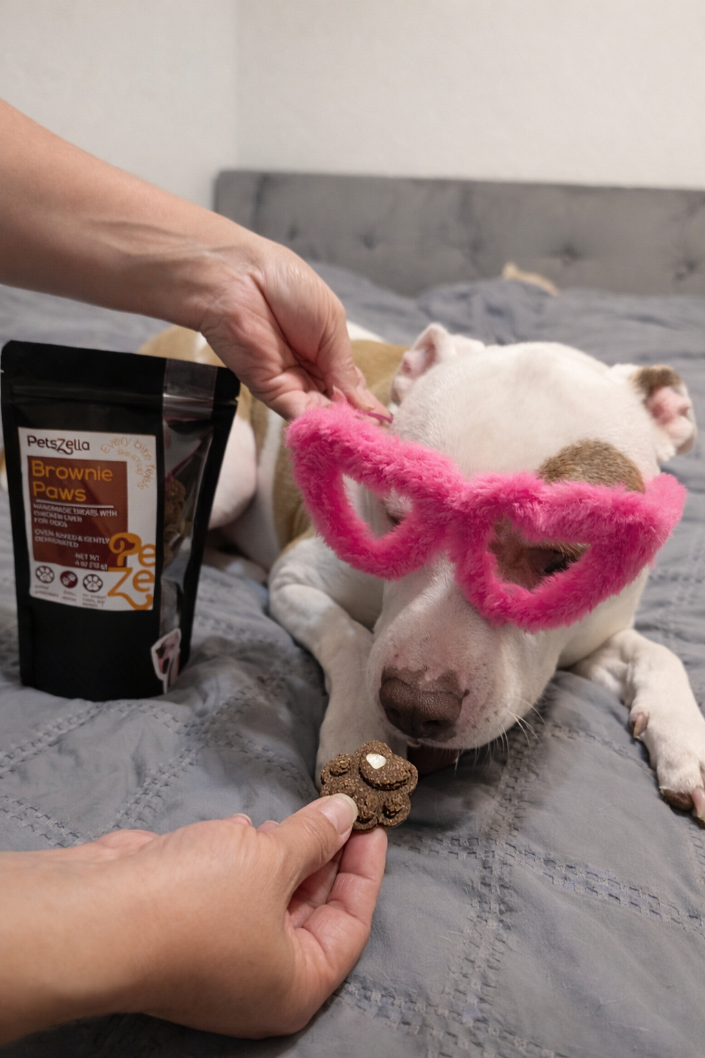 Brownie Paws - Image 4