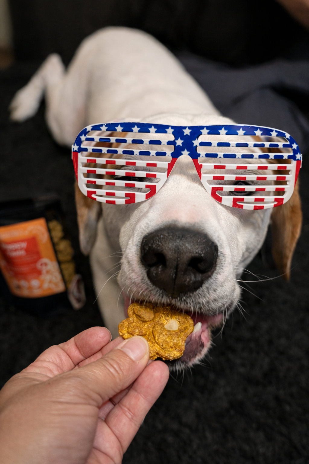 Happy Tails - Image 4